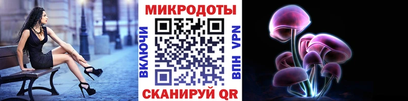 купить  сайты  Пересвет  Псилоцибиновые грибы Psilocybine cubensis 